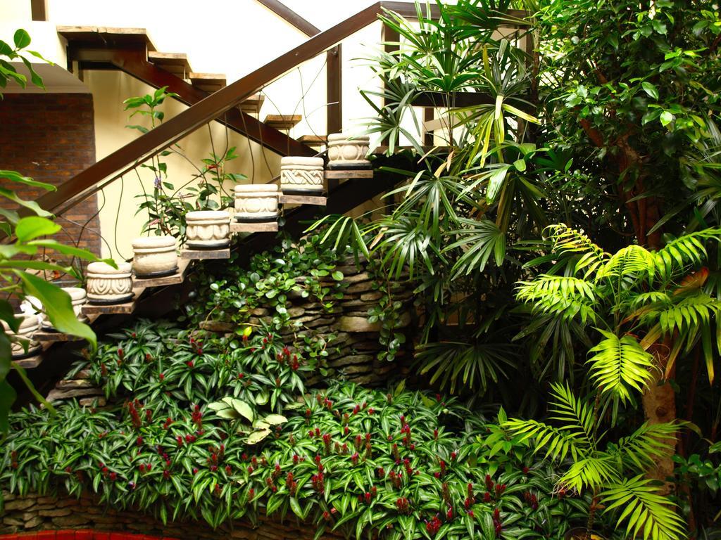 סן חוזה Hotel The Palm House Inn מראה חיצוני תמונה