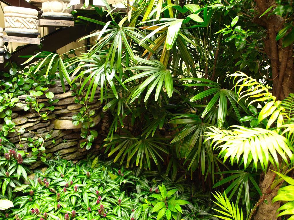 סן חוזה Hotel The Palm House Inn מראה חיצוני תמונה
